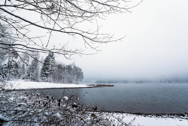 Schweizer Bergsee