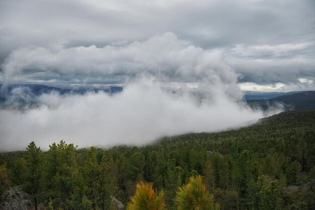 Schweres Wetter in den Uralgebirgen Russland Nebel kriecht den Berg hinunter kalter Sommer