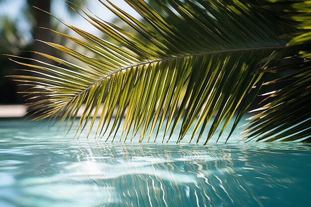 Foto schwimmbad mit palmblatt im sonnenlicht