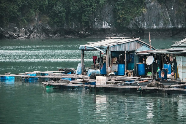 Schwimmende Fischfarm in Ha Long Bay Vietnam Produktion von Fisch und Schalentieren im Meer