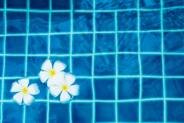 Schwimmende Frangipani-Blüten im Pool