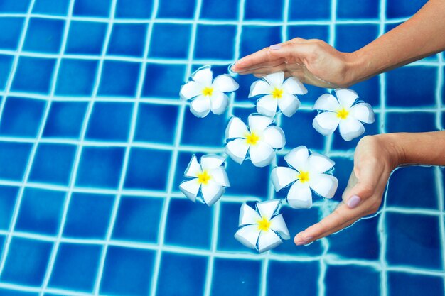 Schwimmende Frangipani-Blüten im Pool