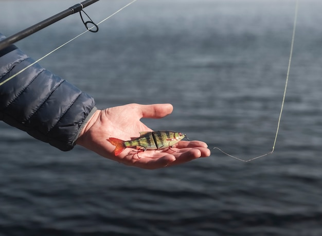 Schwimmköder oder wobbler an der angelrute für raubfische und hechte in der handfläche