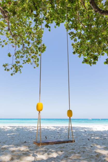 Schwingen Sie unter einem Baum am Strand.