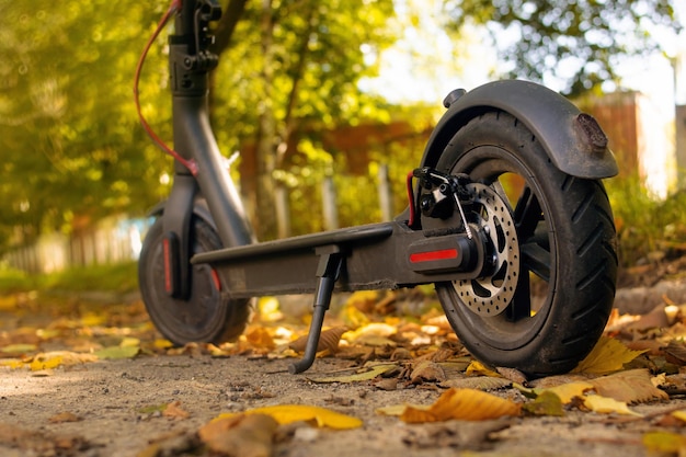 Scooter eléctrico en primer plano de hojas amarillas de otoño