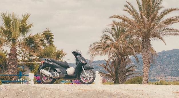 Scooter estacionado em dia de sol sob as palmeiras de uma bela praia na ilha de Creta