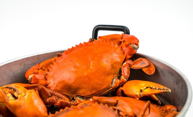 Foto scylla serrata caranguejo ao vapor em uma panela isolado em fundo branco com espaço de cópia conceito de restaurantes de frutos do mar