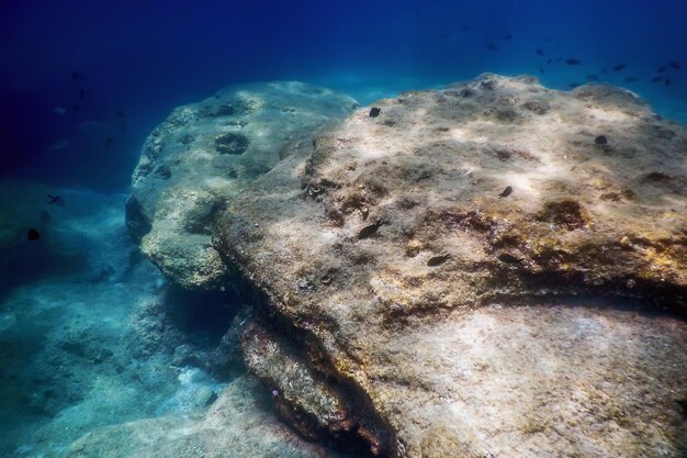 Sea Life Underwater Rocks Luz solar, vida subaquática