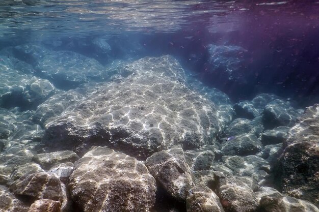 Sea Life Unterwasserfelsen Sonnenlicht, Unterwasserleben.