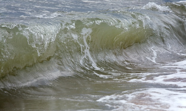 Sea surf gran ola rompiendo en la costa