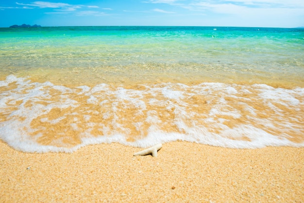 Seascape com coral na praia tropical de areia, ondas brancas de surf, água do mar turquesa e céu azul