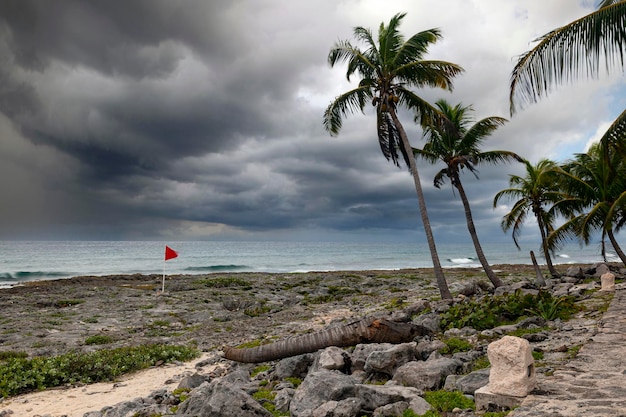 Seascape da costa do Caribe. México..