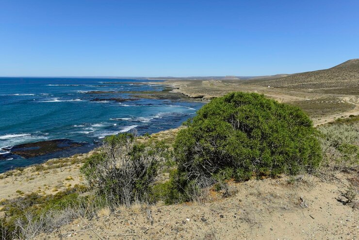 Foto seascape litoral patagônia argentina