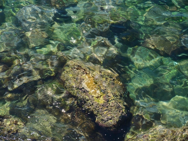 Seascape y rocas en un día soleado de verano