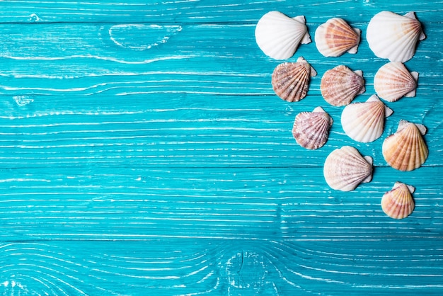 Seashells auf blauem hölzernem Hintergrund