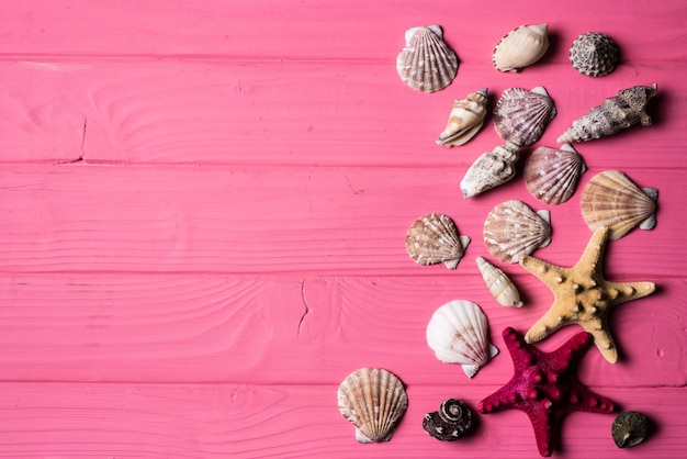 Seashells auf rosa Holz Hintergrund