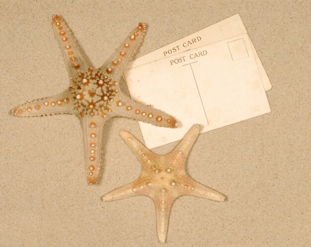 Seashore-Szene mit Starfish und Postkarten