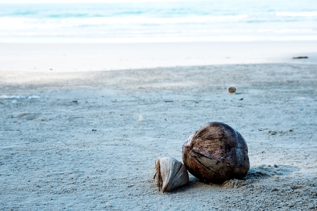 Seca de coco na praia.