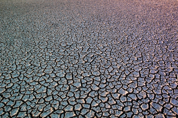 Seca del suelo