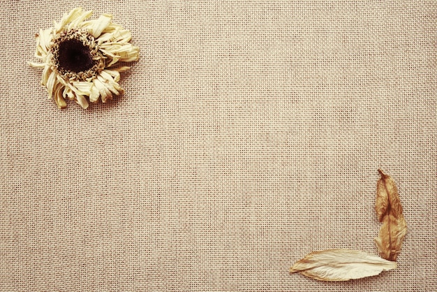 Secado de girasol y hojas secas en tela de lino | Foto Premium