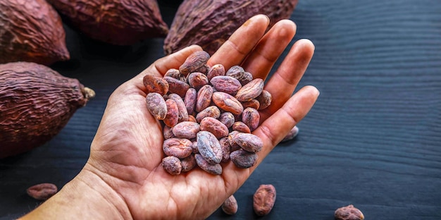 Secado de granos de cacao en manos de agricultores