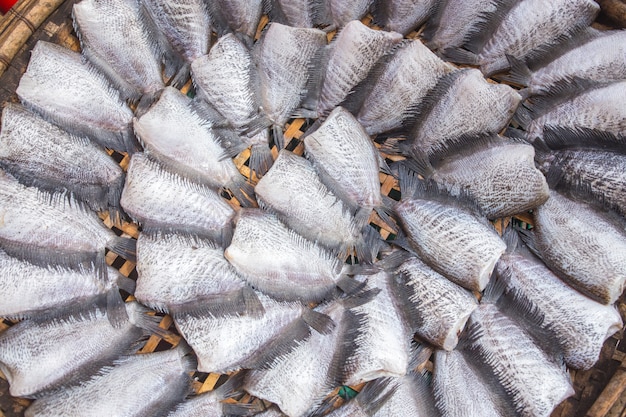 Secado Trichogaster pectoralis peces dispuestos en filas mercado de Tailandia