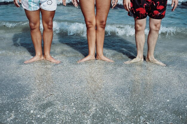 Foto seção baixa de amigos de pé na costa