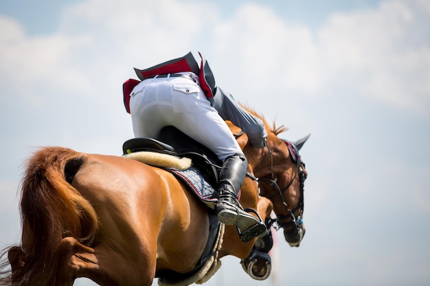 Seção baixa de cavalo de jockey saltando contra o céu