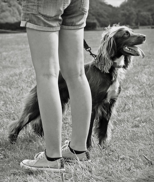Foto seção baixa de mulher com cão de pé em um campo gramado