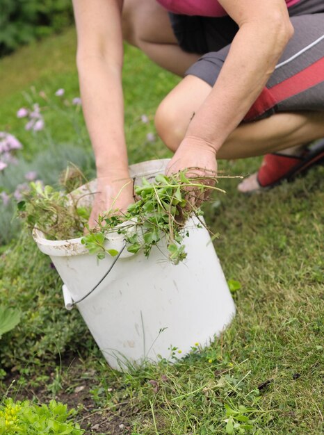 Seção baixa de mulher jardinagem no campo