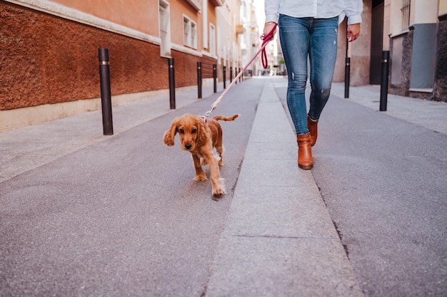 Foto seção baixa de pessoa com cachorro caminhando na calçada