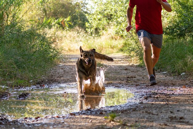 Foto seção baixa de pessoa com cachorro caminhando por plantas