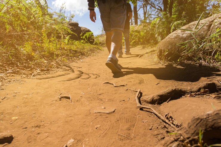 Foto seção baixa de pessoas caminhando em campos de terra durante o verão