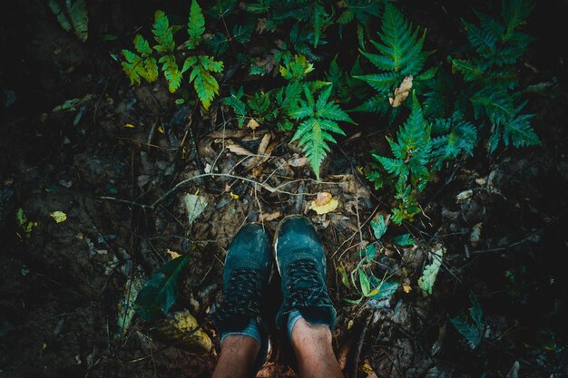 Foto seção baixa de sapatos pessoa de pé no campo na floresta tropical