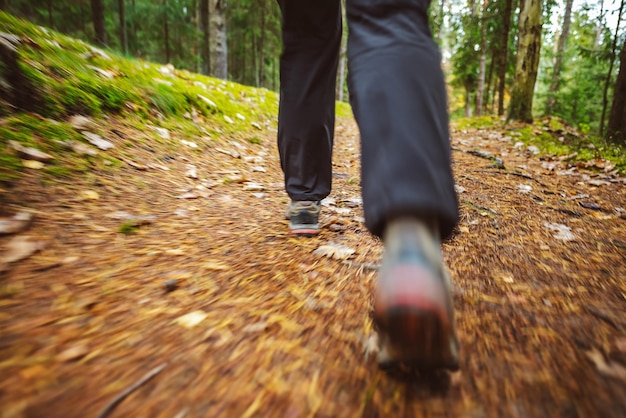 Seção baixa de um homem caminhando na floresta