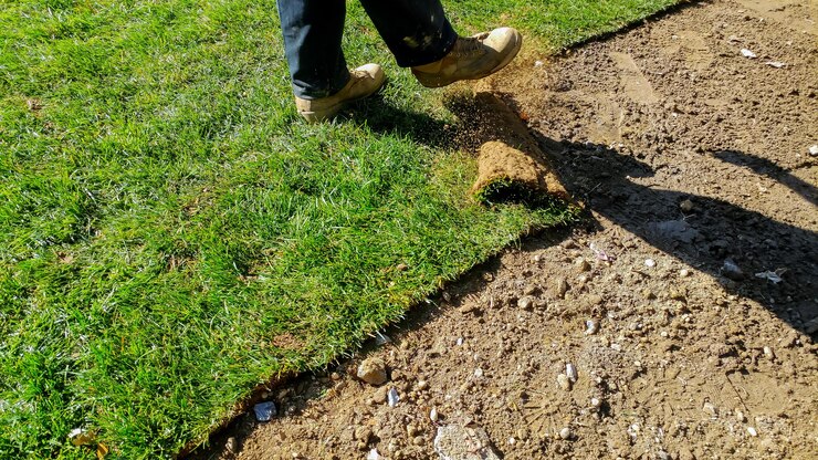 Foto seção baixa de um homem caminhando na grama ao ar livre