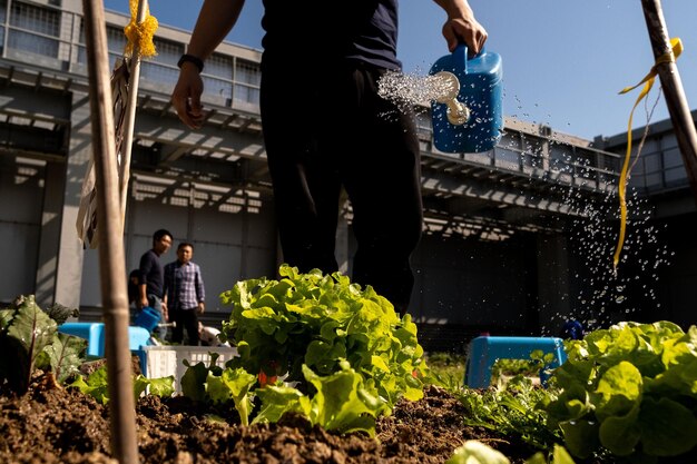 Foto seção baixa de um homem de pé junto a plantas