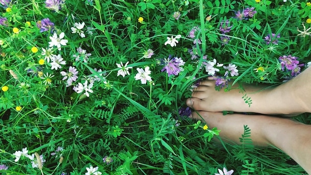 Seção baixa de uma mulher de pé em um campo gramado