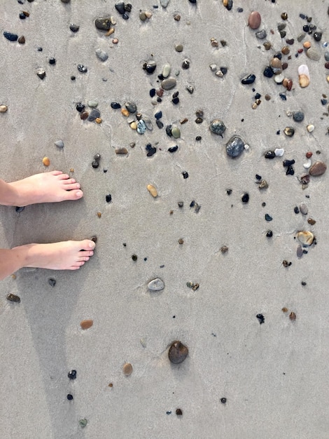 Foto seção baixa de uma mulher de pé na praia