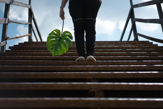 Foto seção baixa de uma pessoa de pé em degraus