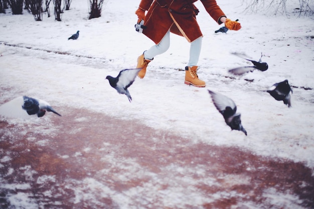 Seção baixa do fotógrafo no inverno