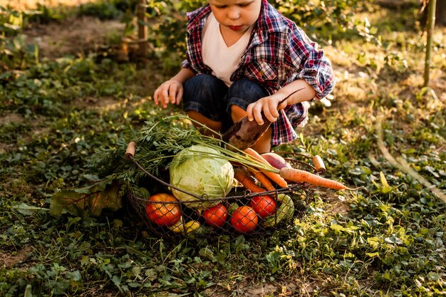 Foto seção central de um homem segurando frutas