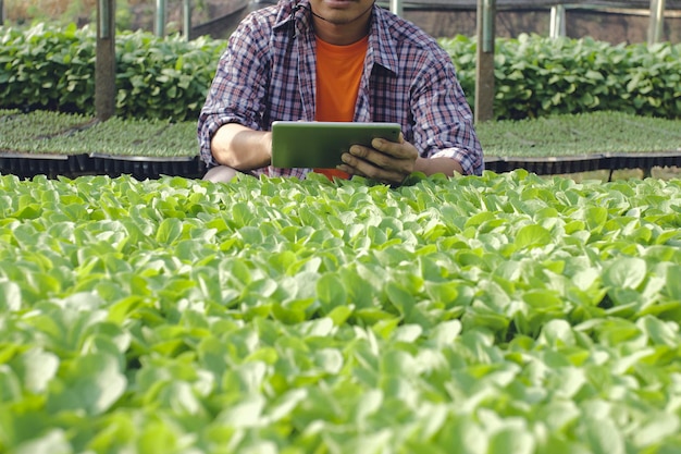Foto seção do meio de um homem usando tablet digital por plantas em uma fazenda