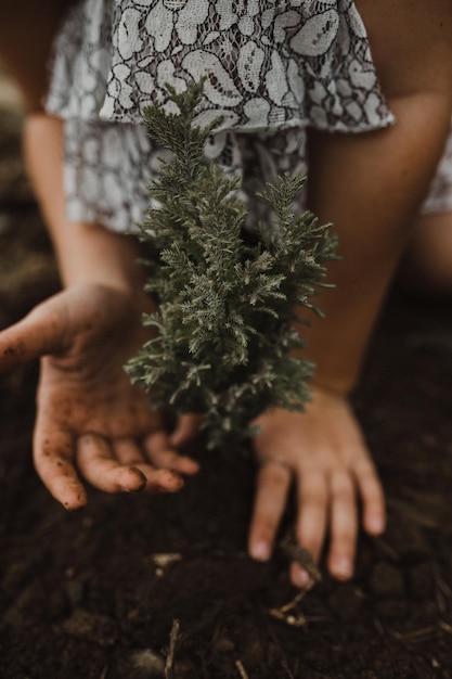 Foto seção do meio de uma menina plantando uma árvore de bebê