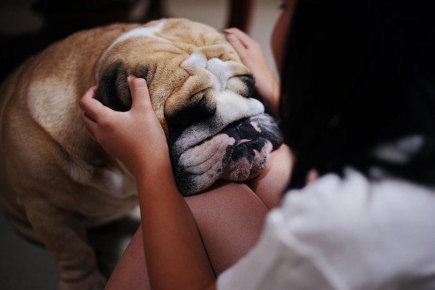 Seção do meio de uma mulher com um cão