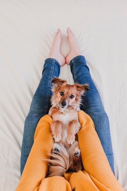 Seção do meio de uma mulher com um cão