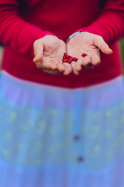 Foto seção do meio de uma mulher segurando frutas