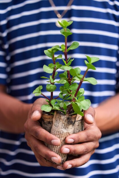 Foto seção do meio de uma mulher segurando uma planta em vaso