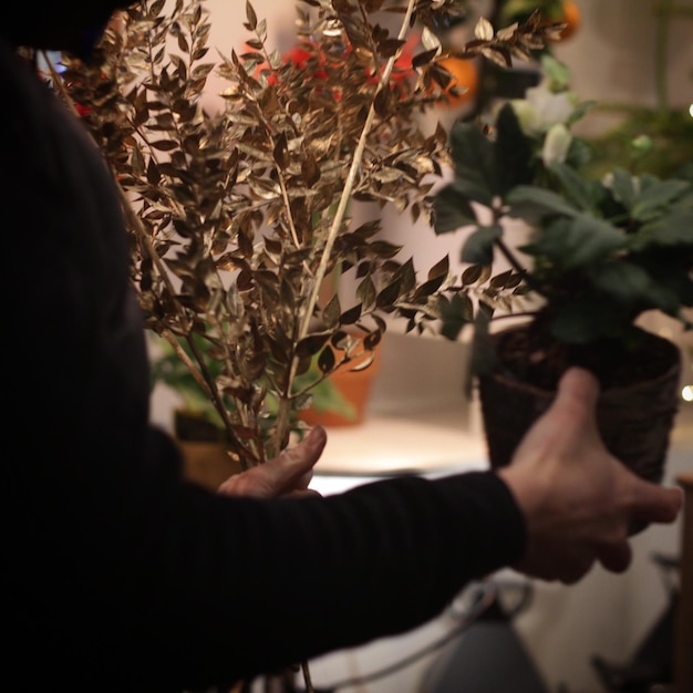 Seção do meio de uma mulher segurando uma planta em vaso