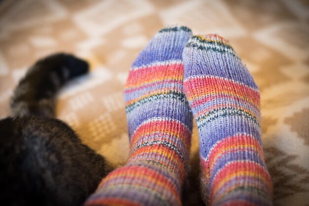 Foto seção inferior de uma pessoa sentada com um gato na cama